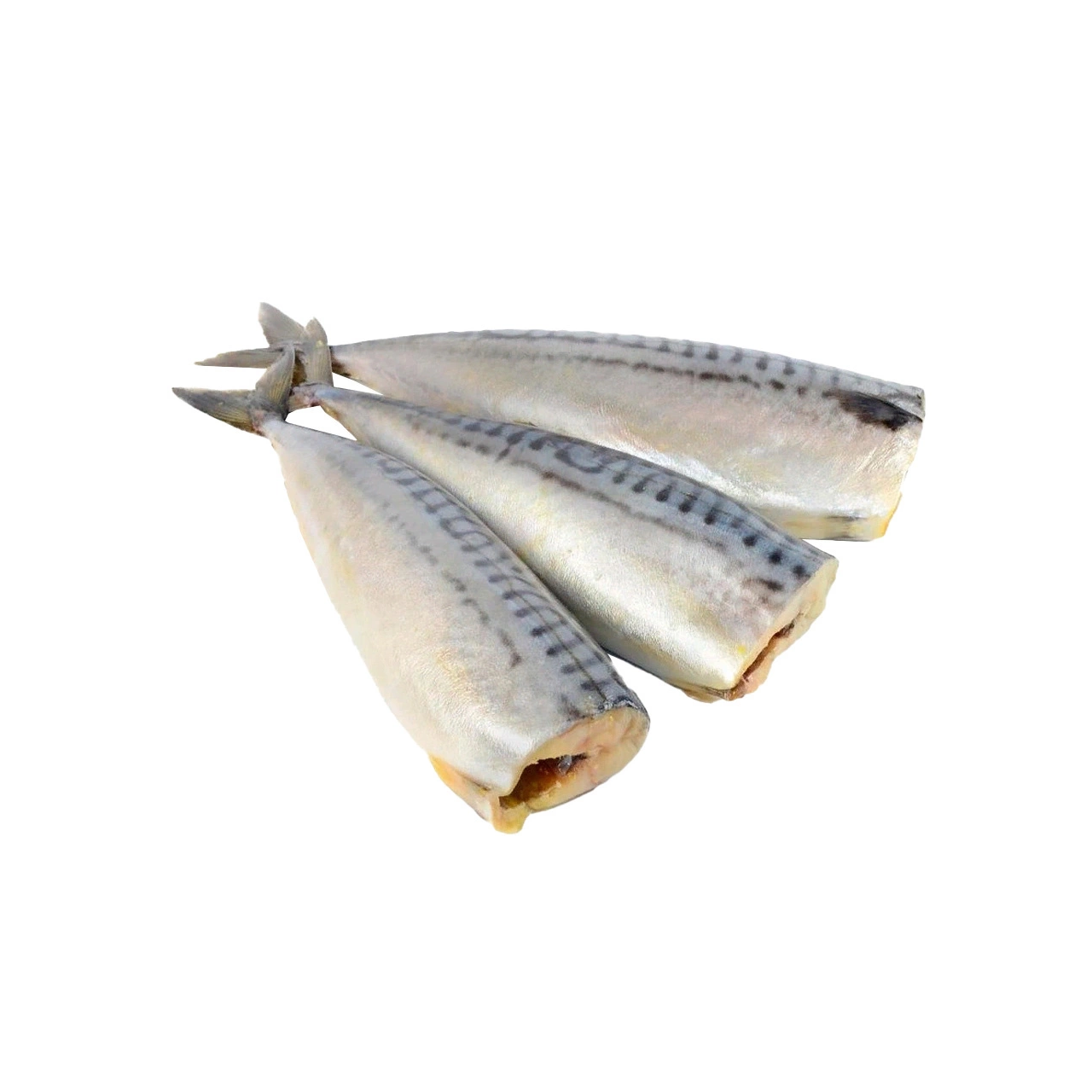 Рыба Скумбрия м/ сол б /г 1 кг