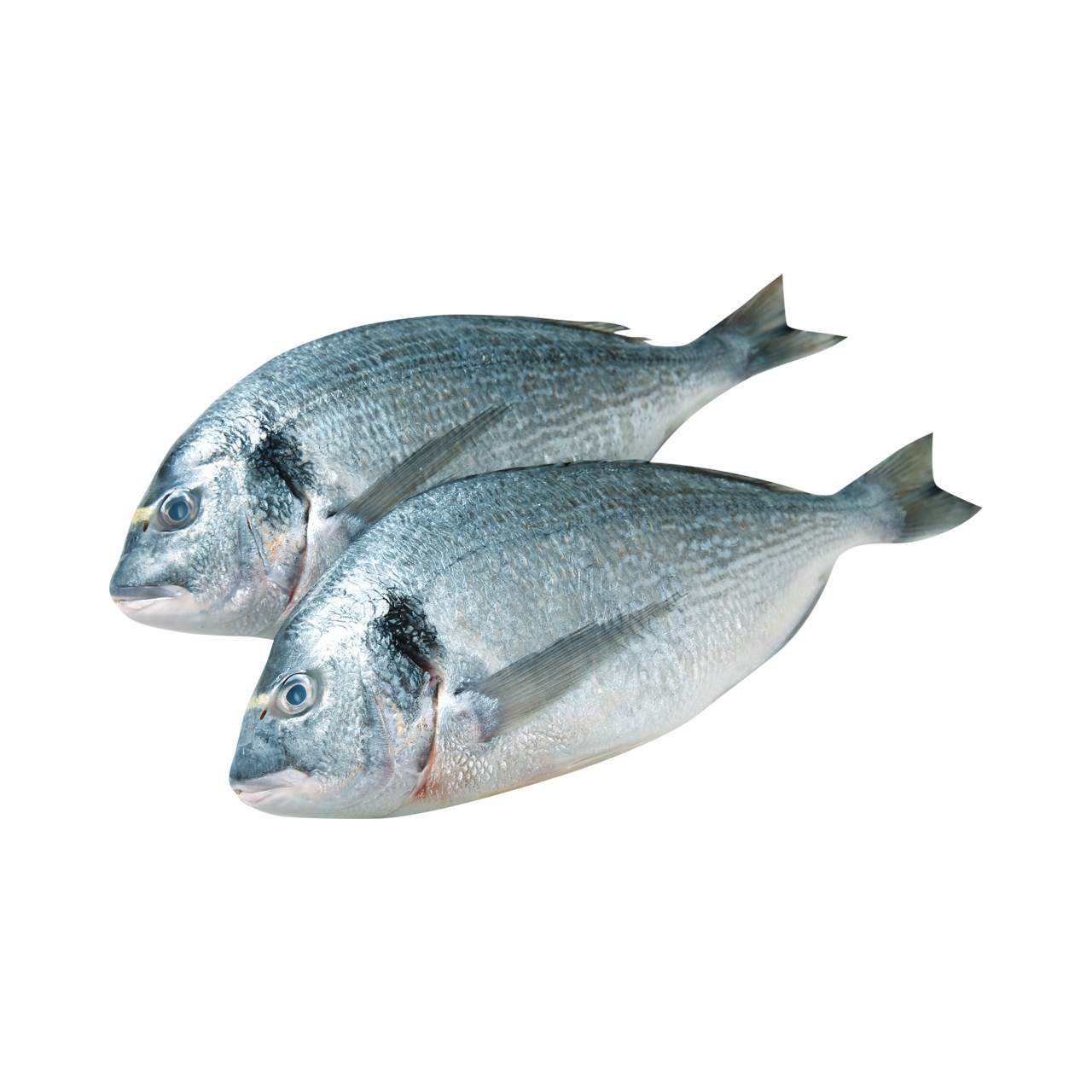 Рыба Дорадо 300/400 1 кг