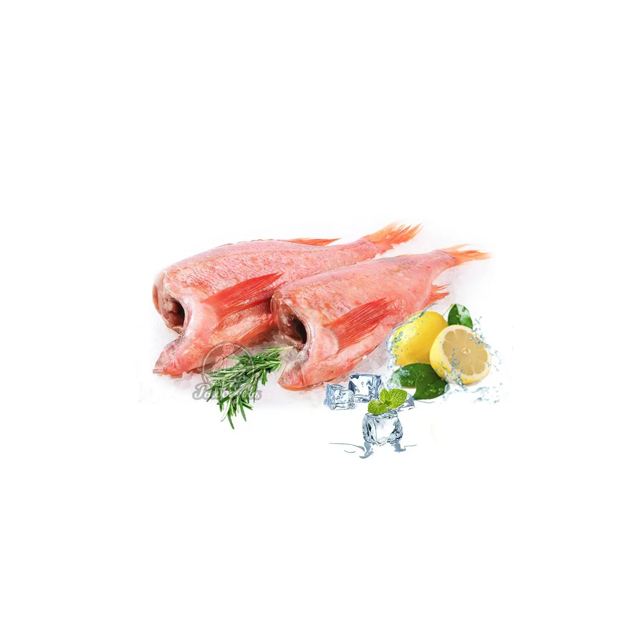 Рыба Окунь морской с/м 150-300 1 кг