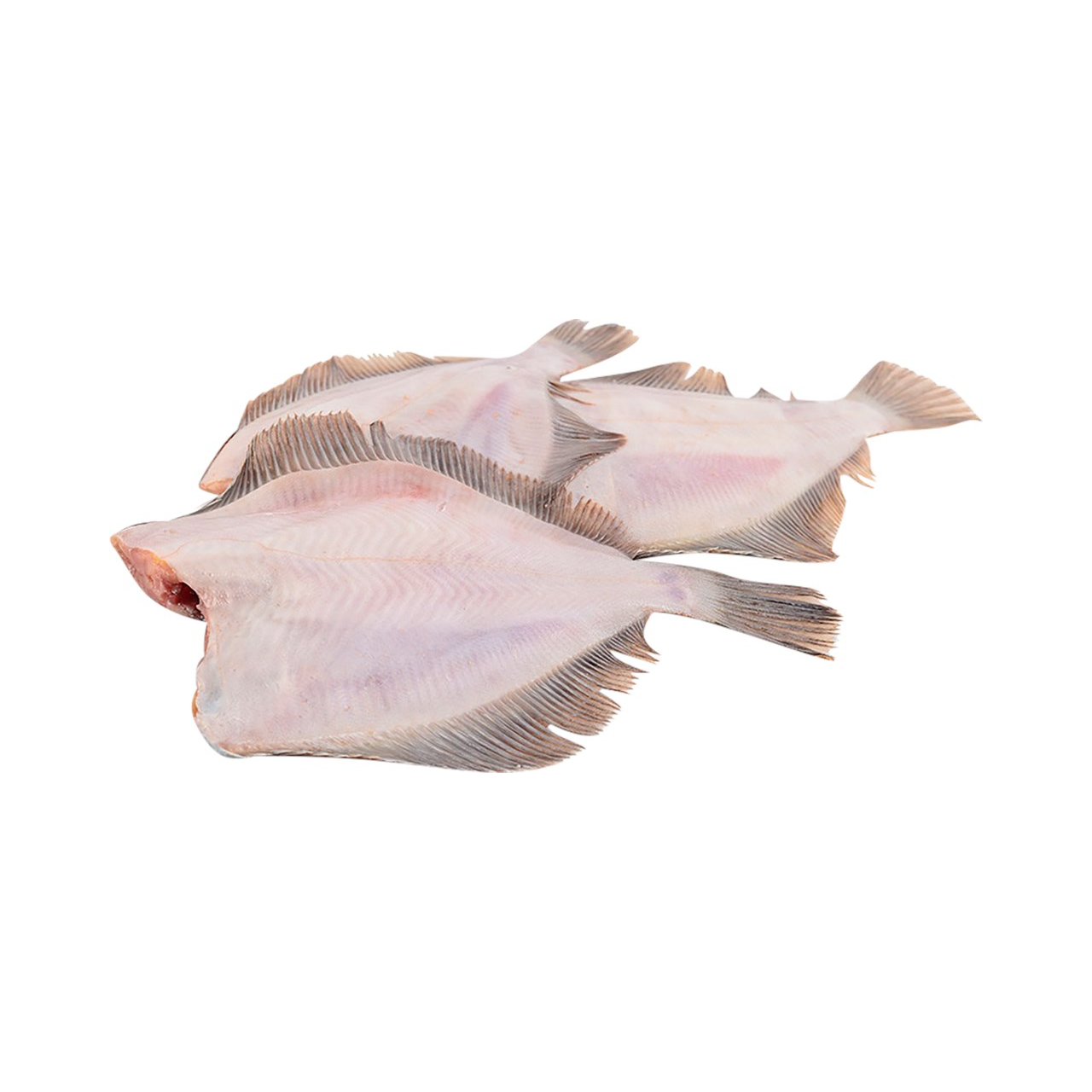 Рыба Камбала с/м 1 кг