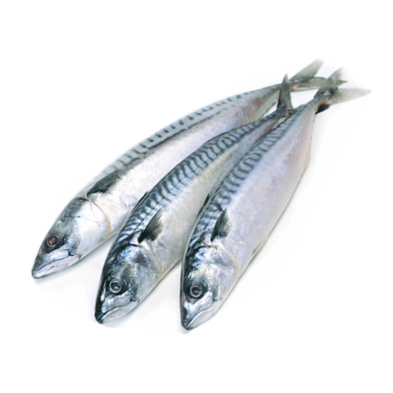 Рыба Скумбрия с/м н/р 300-600 1 кг